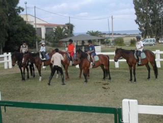  Clases de 1 hora 